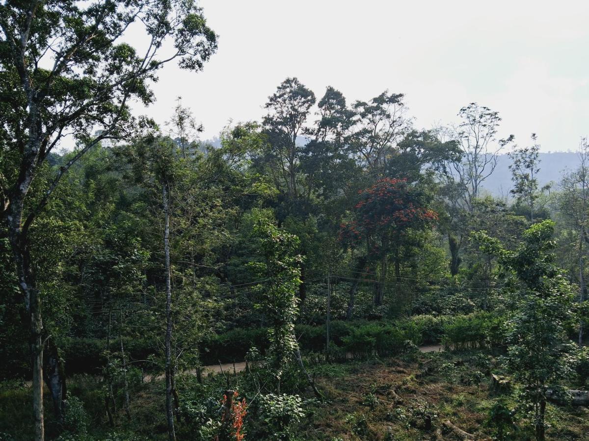 Coorg Teakwood Treasure Homestay Мадикери Экстерьер фото